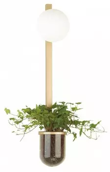 Настенный светильник Odeon Light Walli Flower 4682/1WB