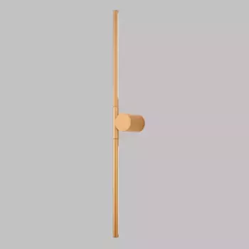 Настенный светодиодный светильник Crystal Lux CLT 058W2 GO