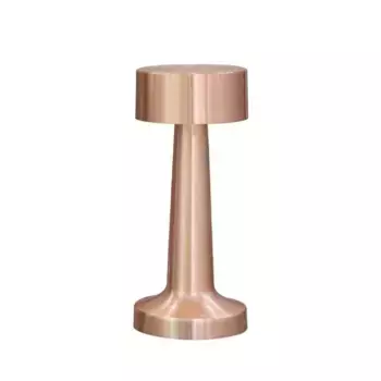 Настольная лампа Aployt Perrayn APL.671.04.01