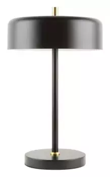 Настольная лампа Arte Lamp Skat A7052LT-2BK