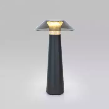 Настольная лампа декоративная Elektrostandard Future a062379