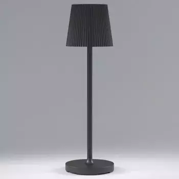 Настольная лампа декоративная Elektrostandard Mist a063970