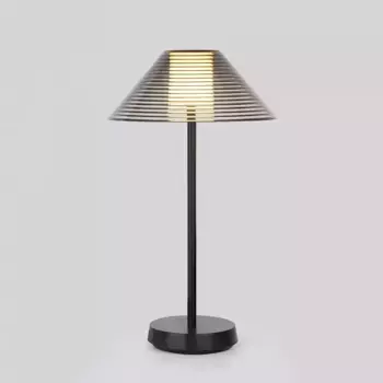 Настольная лампа декоративная Elektrostandard Mistery a062381