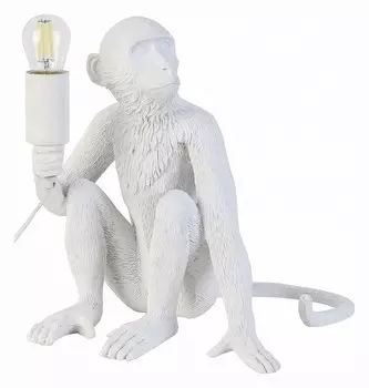 Настольная лампа декоративная EVOLUCE Tenato SLE115104-01