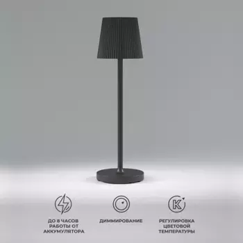 Настольная светодиодная лампа Elektrostandard Mist TL70220 черный a063970