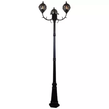 Парковый светильник Reluce 09018-0.7-003SL 2.0m BK