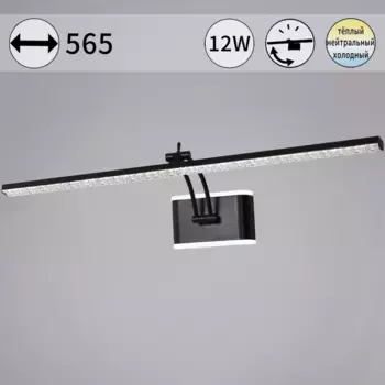 Подсветка для картин Reluce 08872-0.2-01L