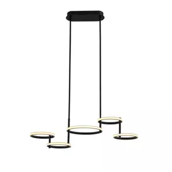 Подвесная люстра DeLight Collection MD20001002-5A matt black