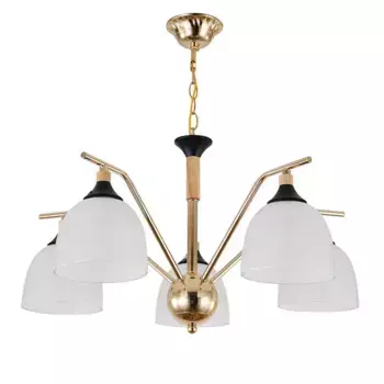 Подвесная люстра Escada Actinidia 2123/5P