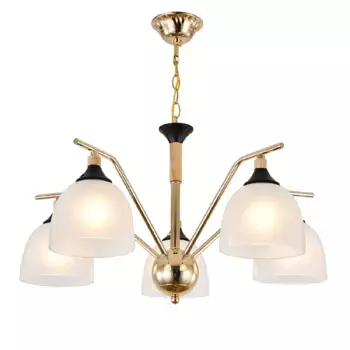 Подвесная люстра Escada Actinidia 2123/5P