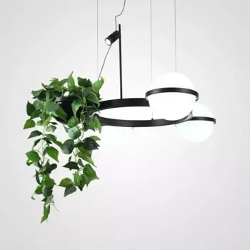 Подвесная люстра ImperiumLoft Palma 248666-01