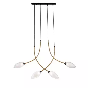 Подвесная люстра Indigo Fiore 13001/4P Black V000141