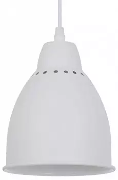 Подвесной светильник Arte Lamp Braccio A2054SP-1WH