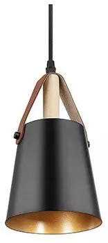 Подвесной светильник Arte Lamp THOMAS A7032SP-1BK