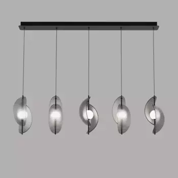 Подвесной светильник Delight Collection MD24030035-5B black/smoky