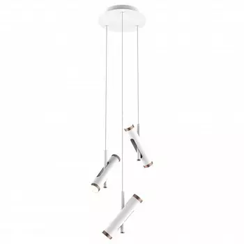 Подвесной светильник Favourite Duplex 2325-6P