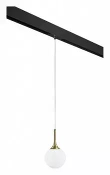 Подвесной светильник Lightstar Globo PRO813012