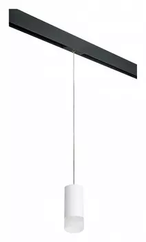 Подвесной светильник Lightstar Rullo PRORP43631