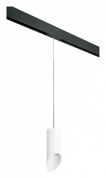 Подвесной светильник Lightstar Rullo PRORP43636