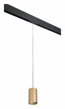 Подвесной светильник Lightstar Rullo PRORP440