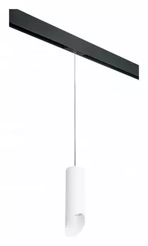 Подвесной светильник Lightstar Rullo PRORP48636