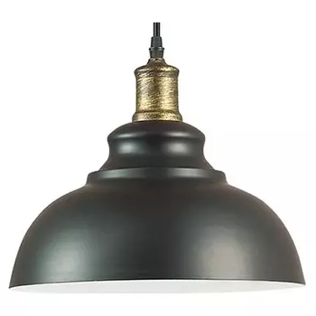 Подвесной светильник Lumion Suspentioni Dario 3675/1