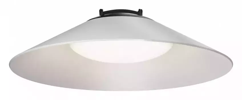 Подвесной светильник Maytoni Campana TR127B-12W4K-W