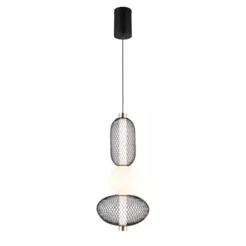 Подвесной светодиодный светильник Aployt Nikusia APL.658.06.13