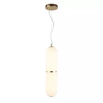 Подвесной светодиодный светильник Aployt Ozeynn APL.332.06.22