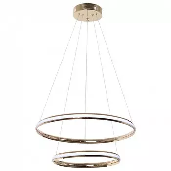 Подвесной светодиодный светильник Arte Lamp Meridiana A2198SP-2GO