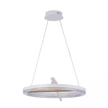 Подвесной светодиодный светильник F-Promo Bardy 4653-1P