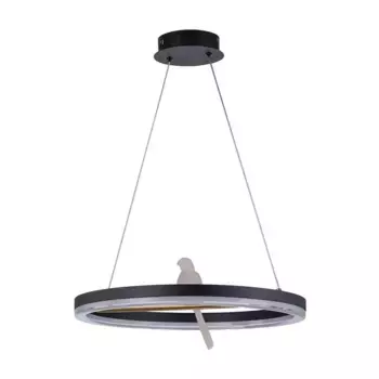 Подвесной светодиодный светильник F-Promo Bardy 4654-1P