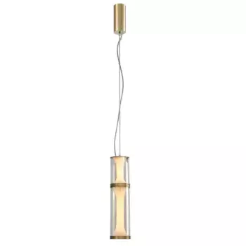 Подвесной светодиодный светильник Favourite Bones 4244-2P