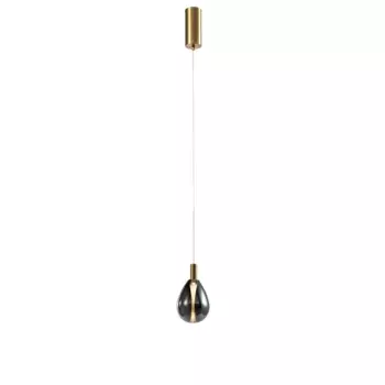 Подвесной светодиодный светильник Favourite Hopper 4255-1P