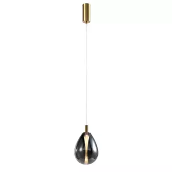 Подвесной светодиодный светильник Favourite Hopper 4255-2P