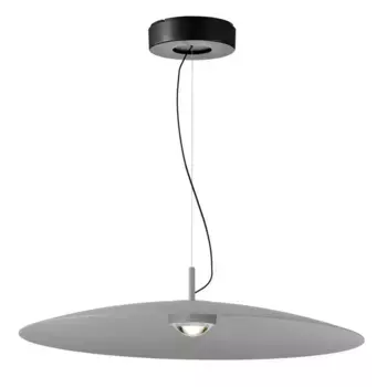 Подвесной светодиодный светильник Favourite Lars 4412-2P