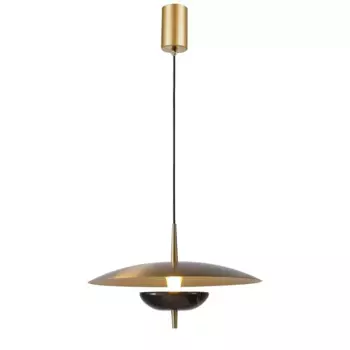 Подвесной светодиодный светильник Favourite Marmo 4246-1P