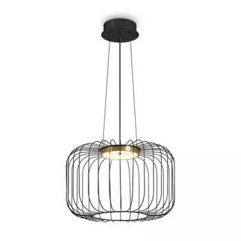 Подвесной светодиодный светильник Freya Citrus FR5398PL-L8B