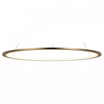 Подвесной светодиодный светильник Loft IT Ring 10014L