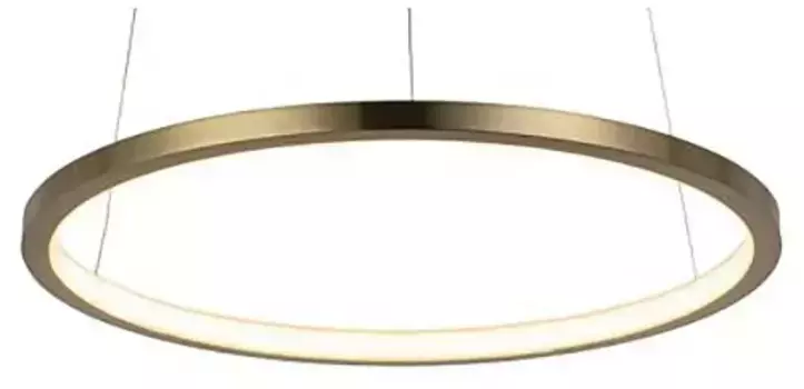 Подвесной светодиодный светильник Loft IT Ring 10014S