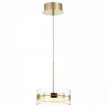 Подвесной светодиодный светильник Odeon Light L-vision Akela 4729/14L