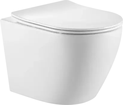 Унитаз подвесной SantiLine SL-5025 безободковый, с микролифтом, система смыва Tornado