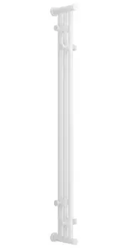 Полотенцесушитель водяной ДР "Хорда ПП" 1200х195 (Матовый белый)