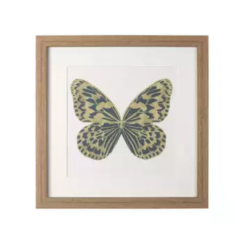 Постер Tomas Stern 83011