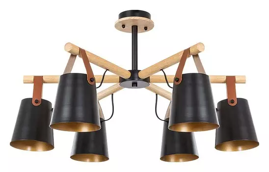 Потолочная люстра Arte Lamp THOMAS A7032PL-6BK