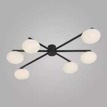 Потолочная люстра Eurosvet Opaline 70220/6 черный