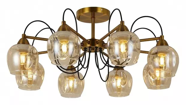 Потолочная люстра EVOLUCE Acro SLE110002-08