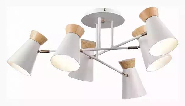 Потолочная люстра EVOLUCE Alfeo SLE1252-502-06