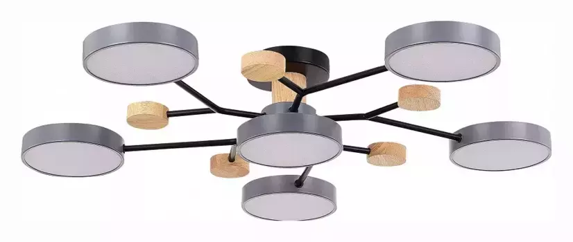 Потолочная люстра EVOLUCE Faema SLE6006-702-06