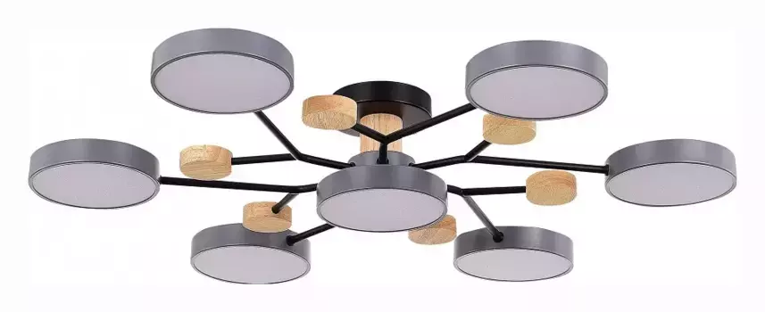Потолочная люстра EVOLUCE Faema SLE6006-702-07
